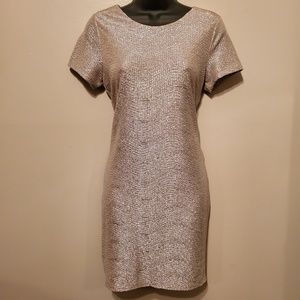 Champagne Gold and Silver Textured Dress by Sage